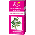 Naturalny olejek eteryczny z drzewa herbacianego Naturalny olejek eteryczny z drzewa herbacianego