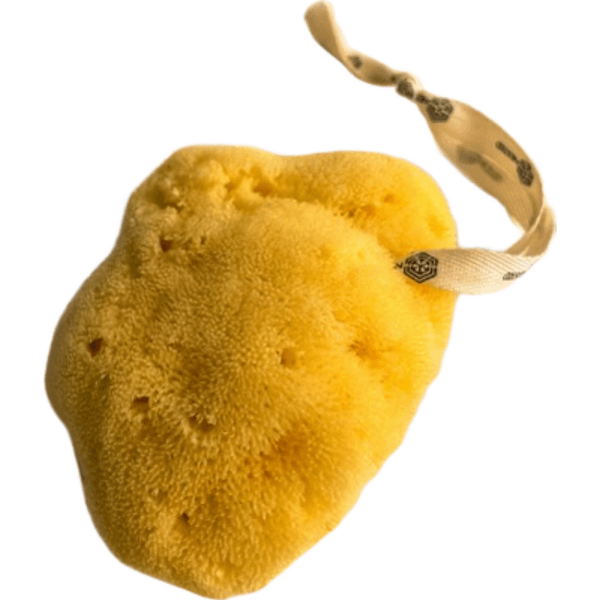 Naturalna gąbka Fina Silk duża